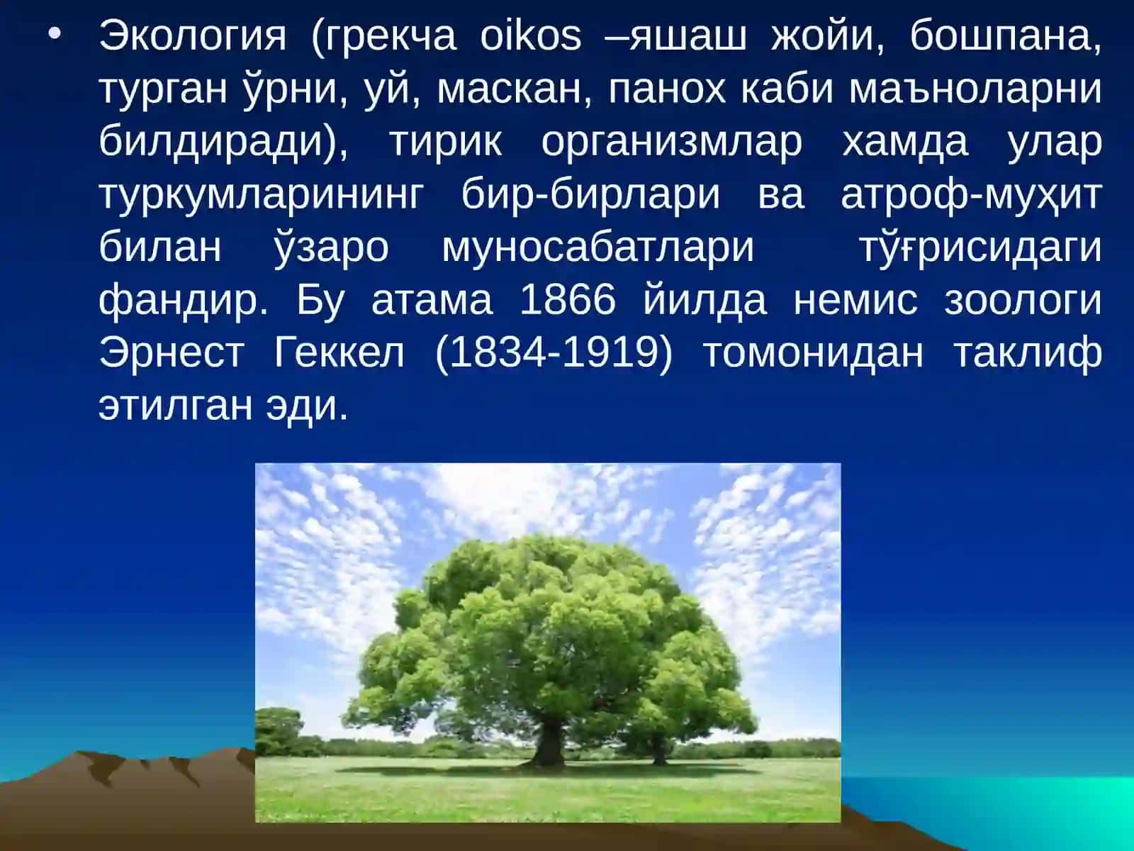 Ижтимоий экологиянинг минтақавий муаммолари 3