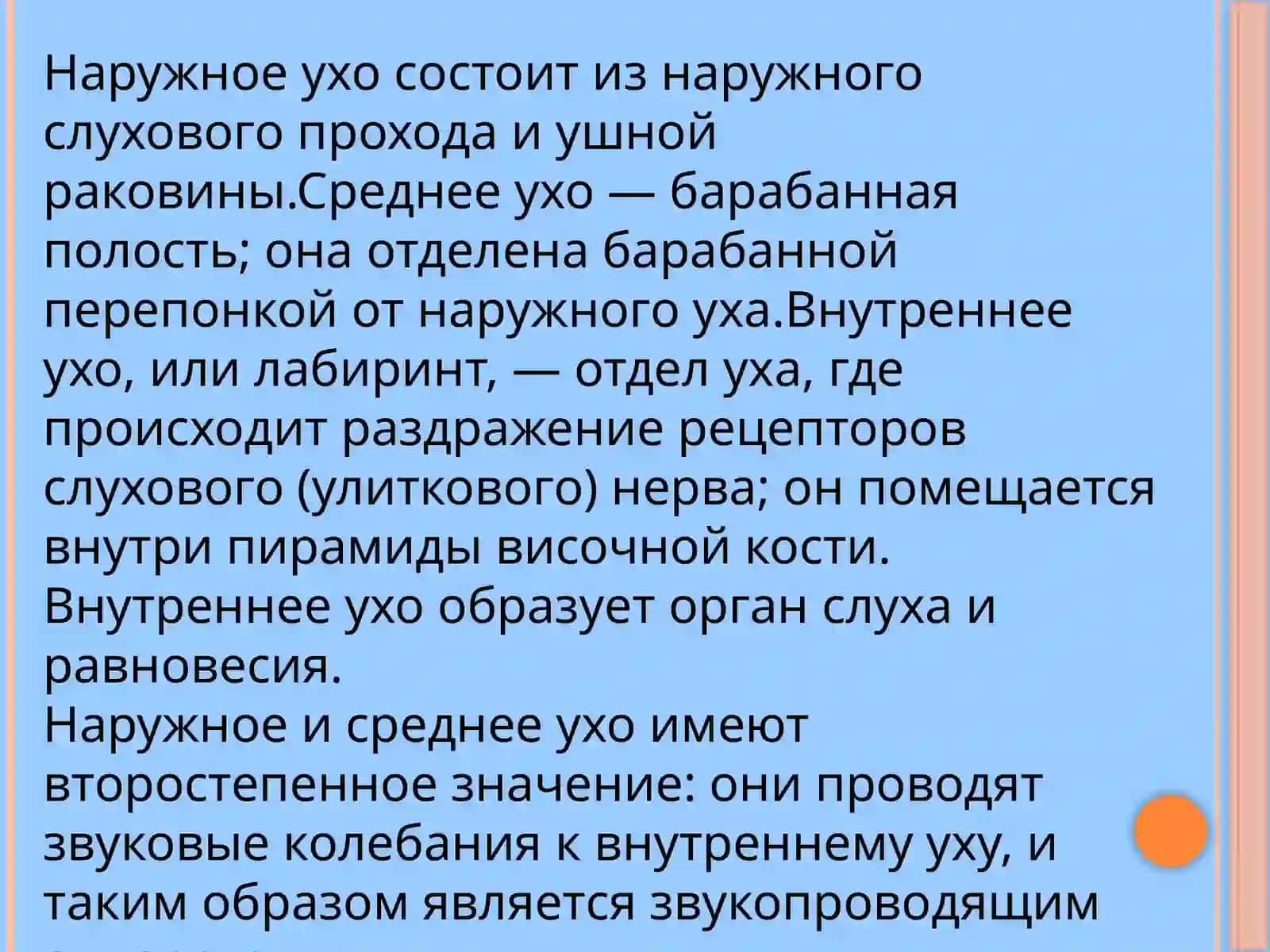 Строение и работа слухового анализатора человека 3