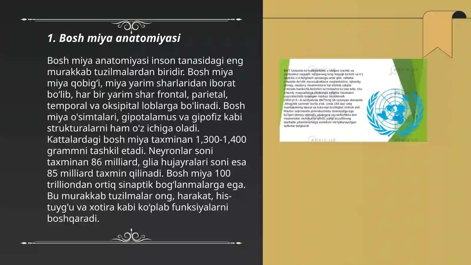 Bosh miya funktsiyalari 3