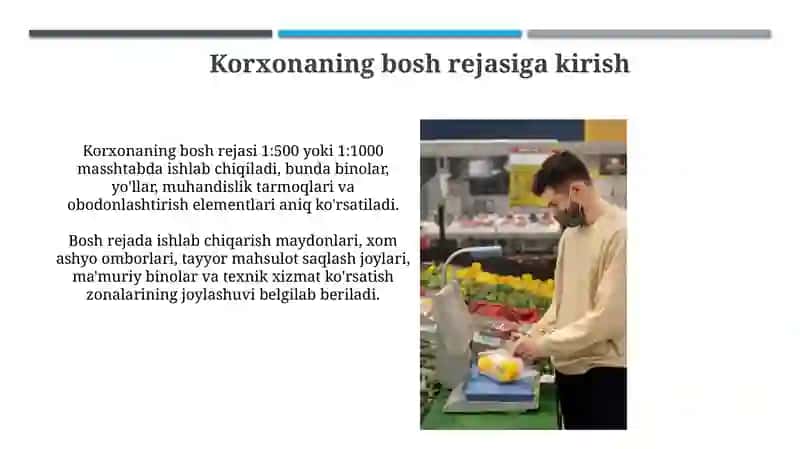 Meva sabzavotlarni qayta ishlash korxonasining bosh plani 3