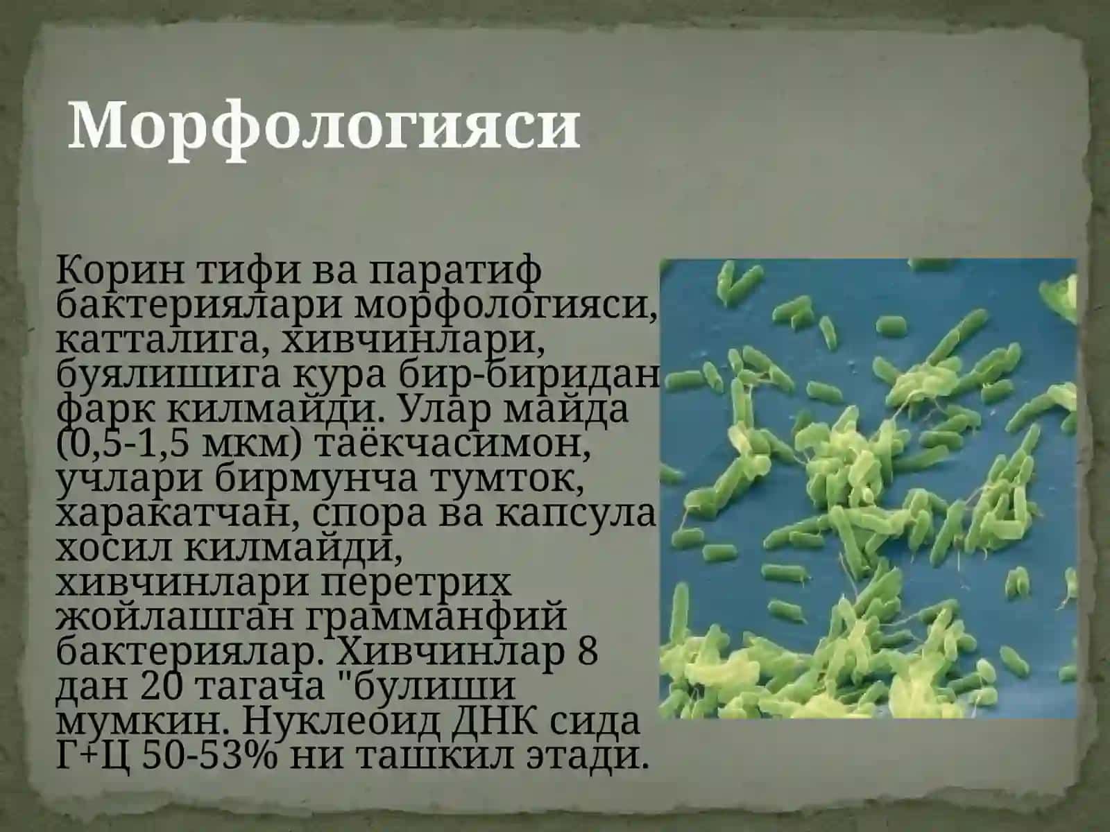 Микробиология, вирусология и иммунология 3