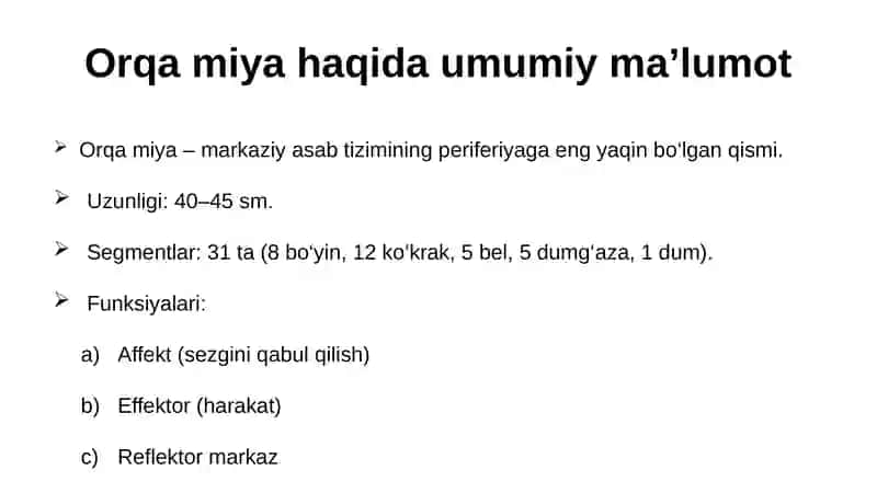 orqa miya yadrolarining topografiyasi va xususiyatlari 3