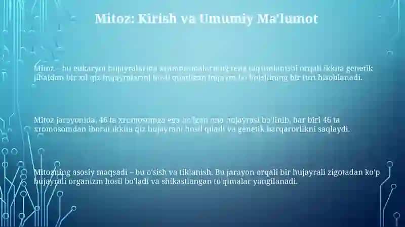 Mitoz va uning turlari 3
