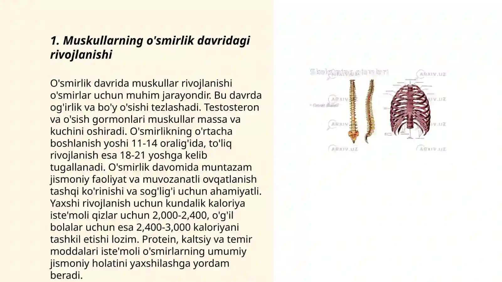 Muskullarning yoshga oid xususiyatlari va gigiyenasi 3