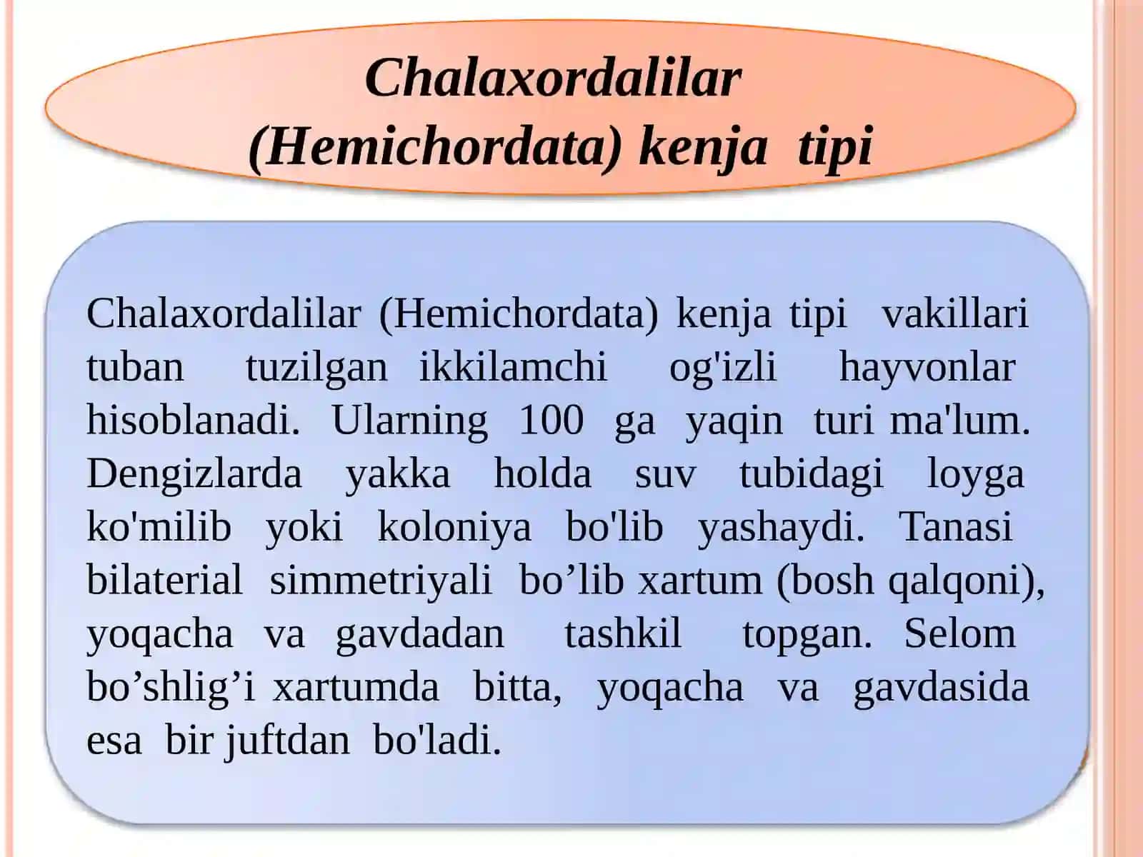 Chalaxordalilarkenjatipi 3