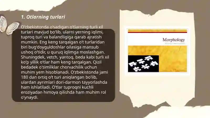 Morfologiya so'z turkumi 3