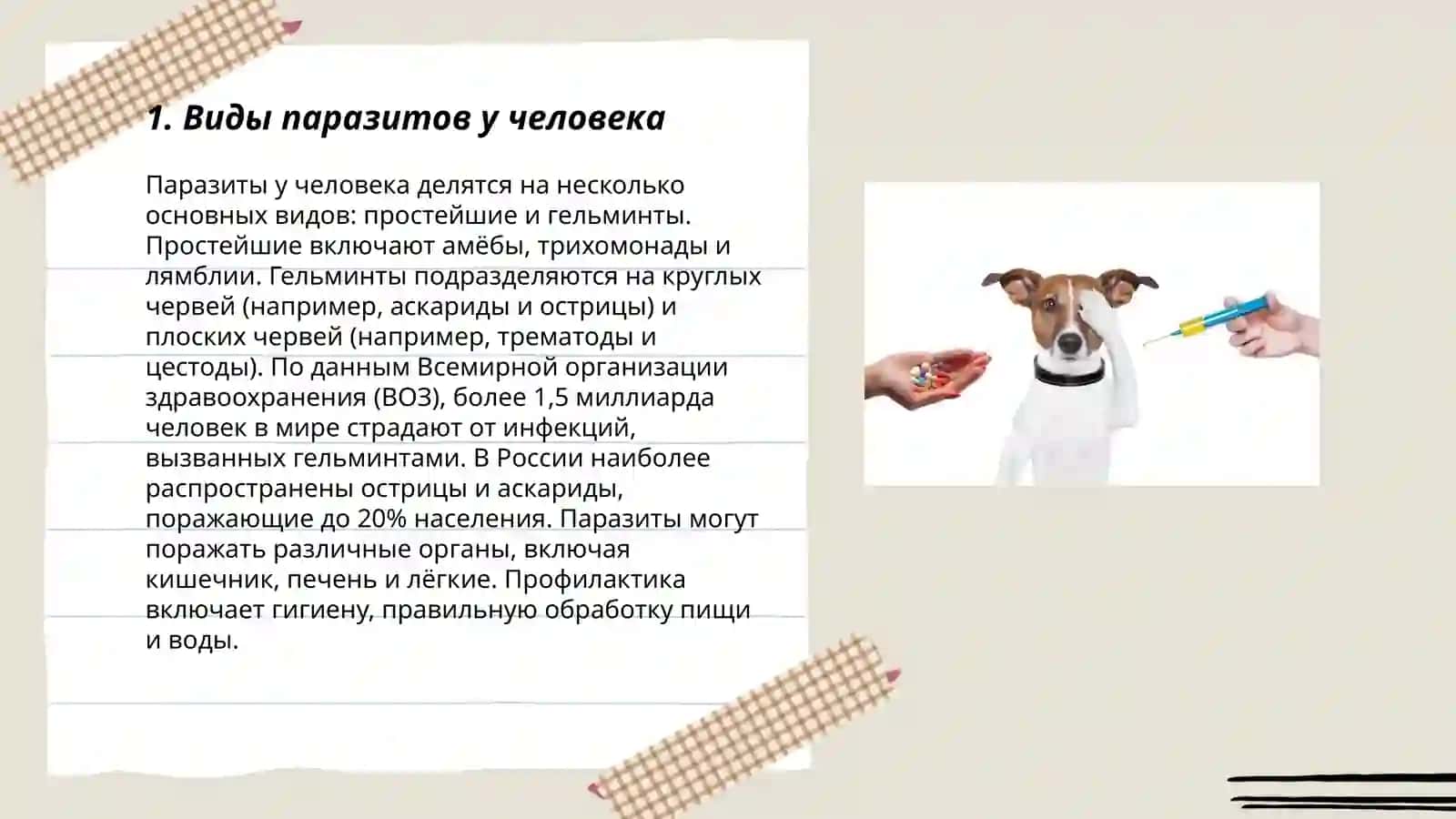 Дегельминтизация 3