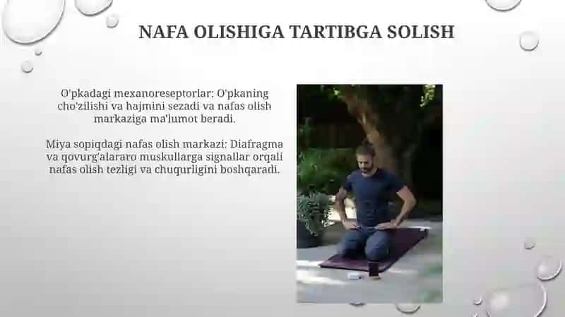 Nafas fizyologydi 3