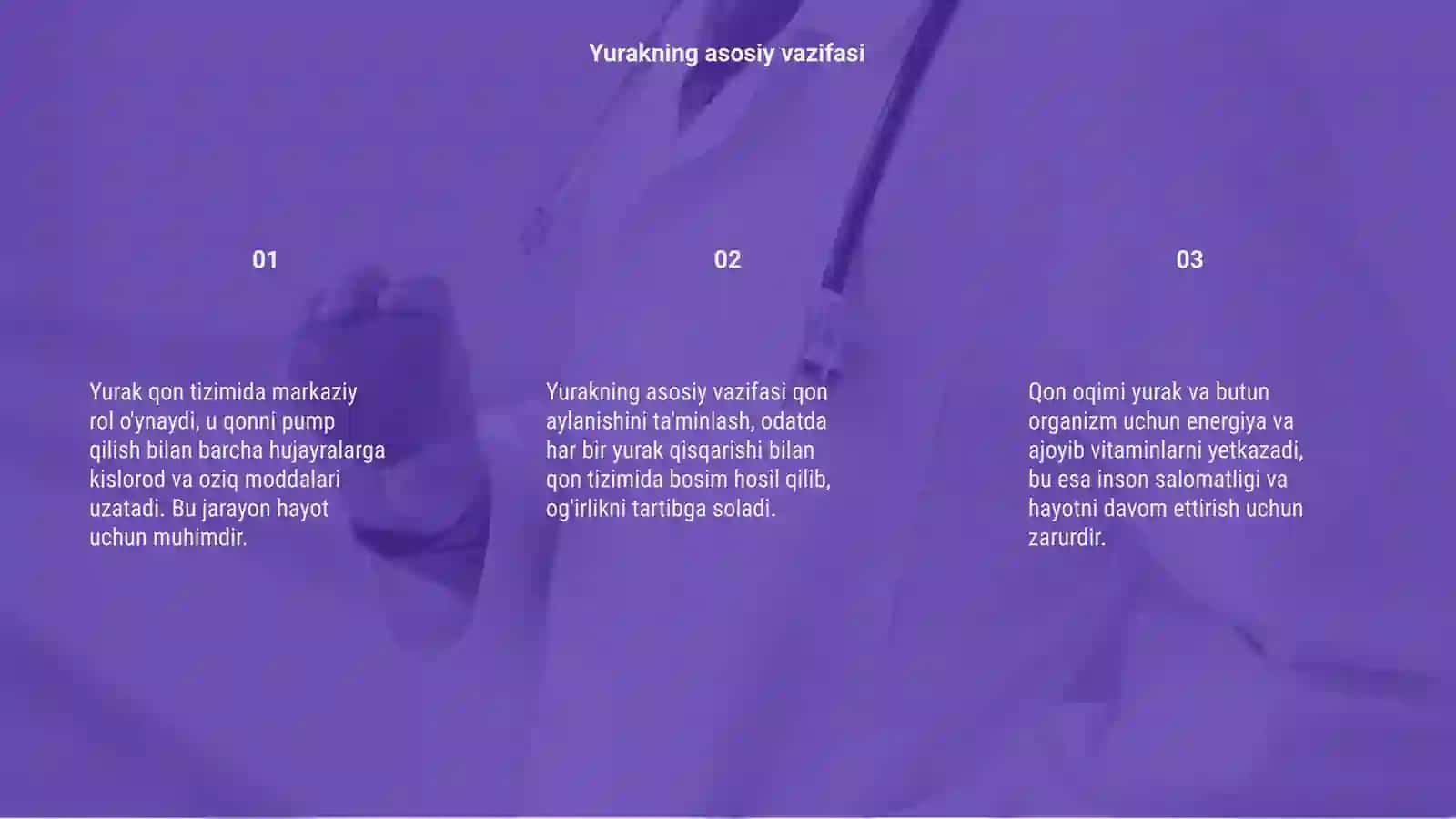 Yurakning qon tizimidagi oʻrni 3