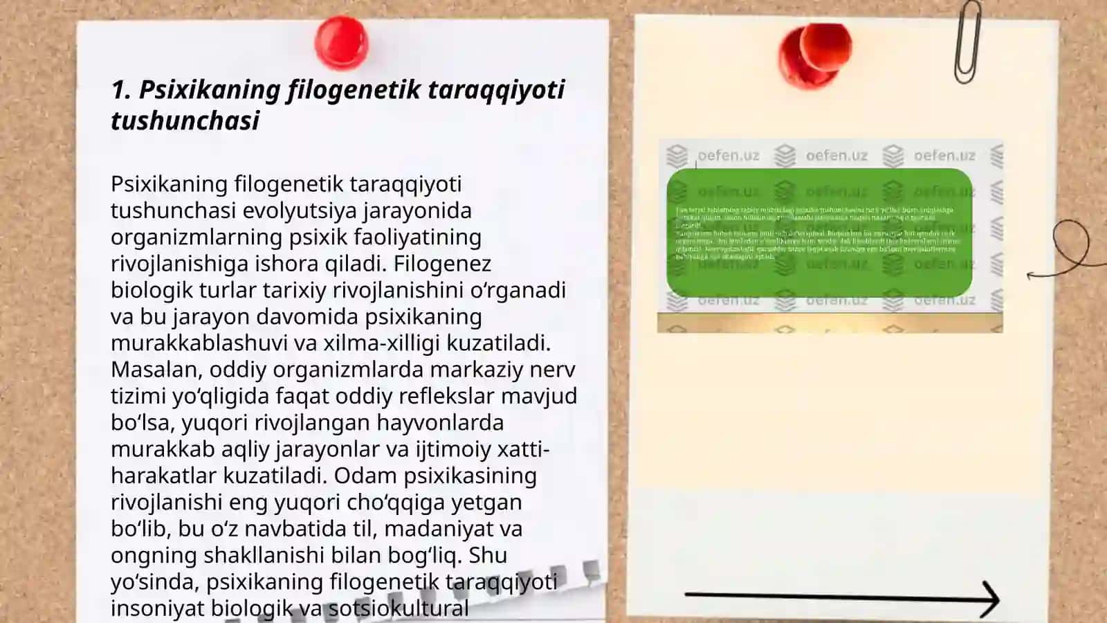 Psixikaning filogenetik taraqqiyoti 3
