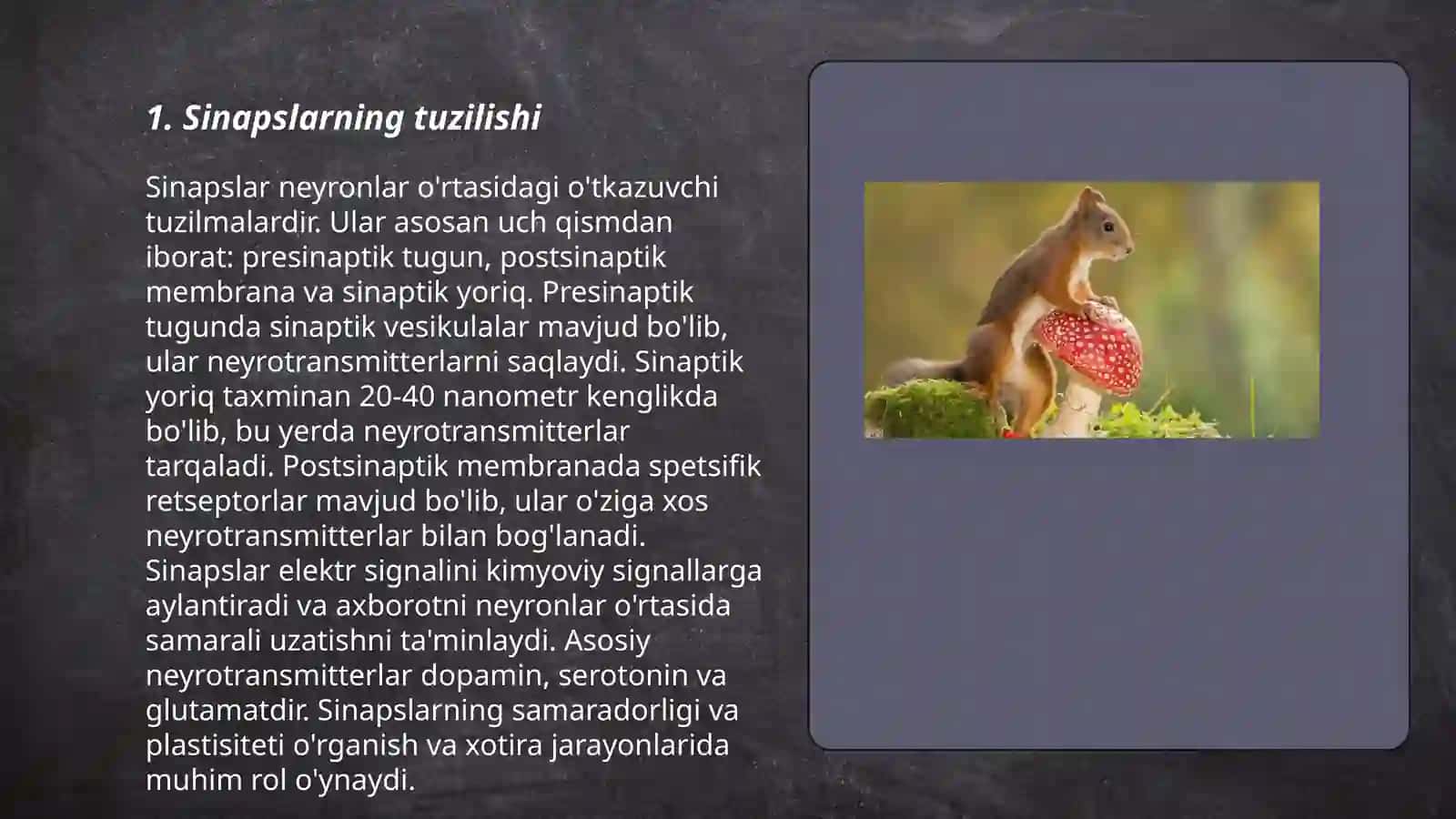 Sinapslar fiziologiyasi 3