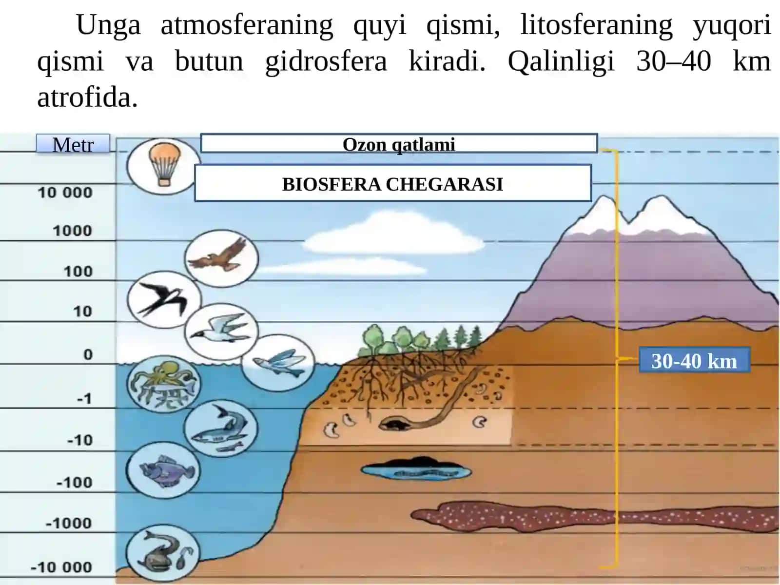 BIOSFERA 3