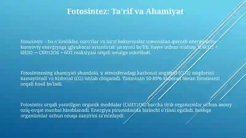 Fotosintez 3