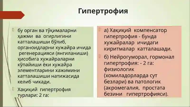 Усма 3