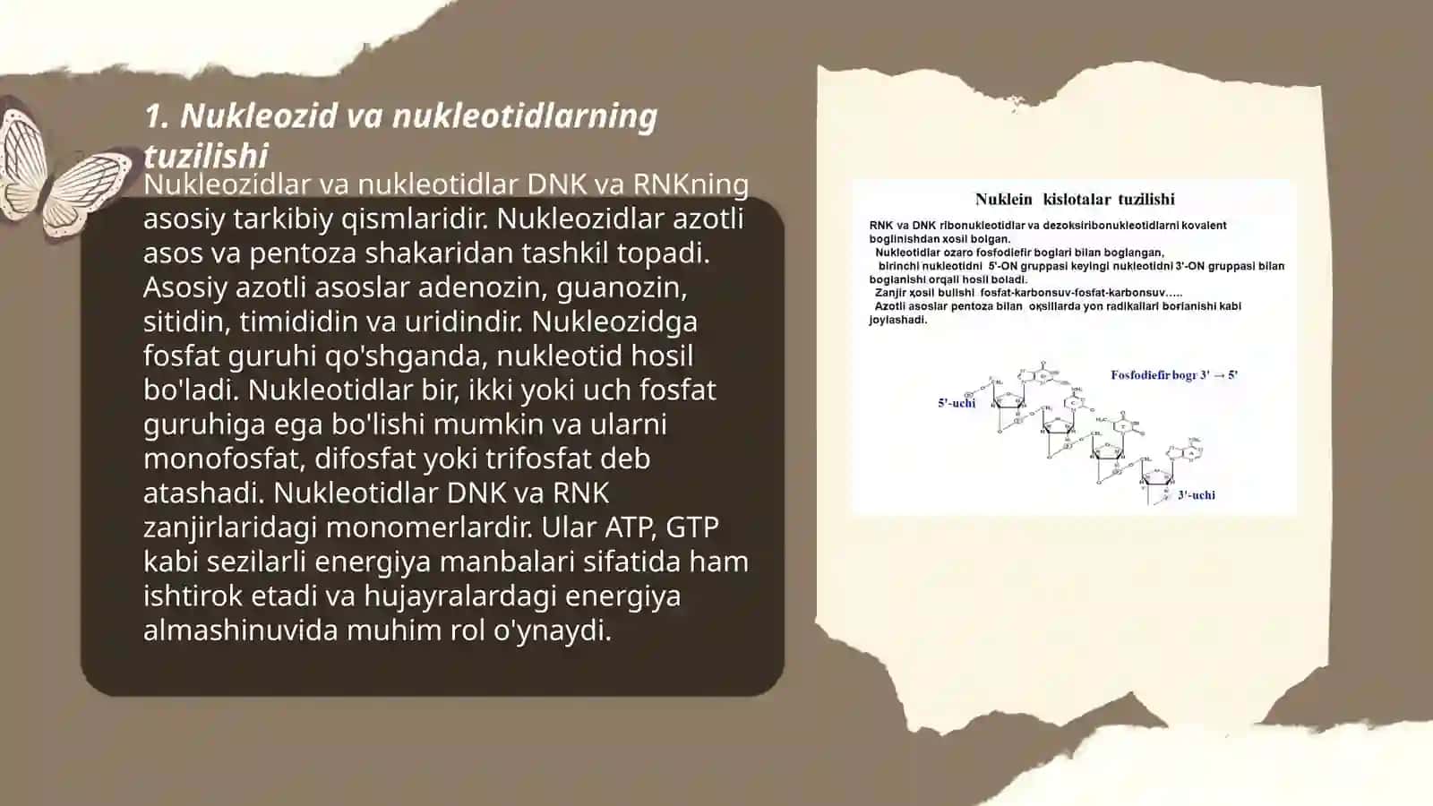 Nukleozidlar. Nukleotidlar 3