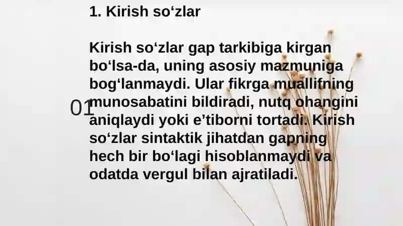 Kirish soʻzlar 3