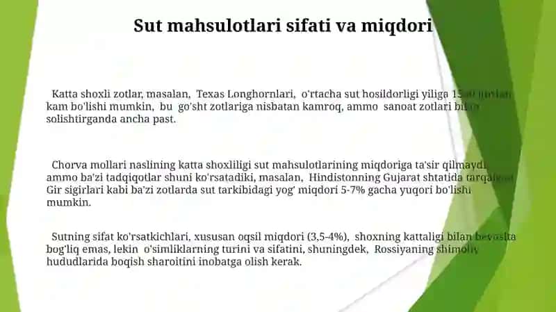 Yirik shoxli qoramollarning sut yoʻnalishidagi zotlari 3