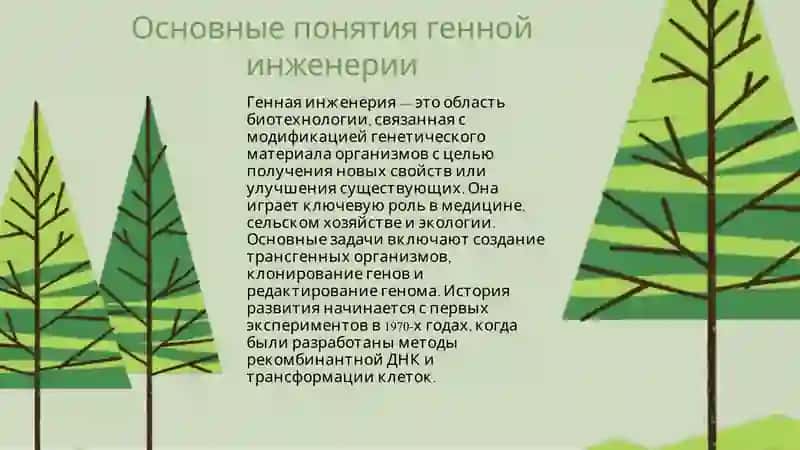 Генная инженерия. Изменчивость и её формы 3