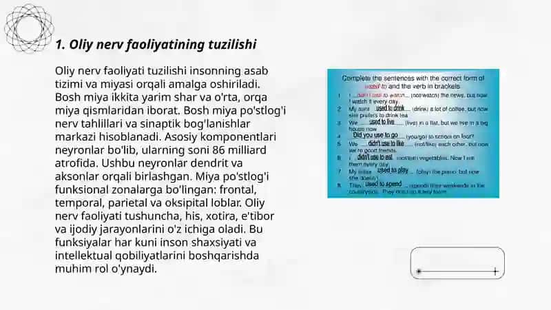 Oliy nerv faoliyating tiplari 3