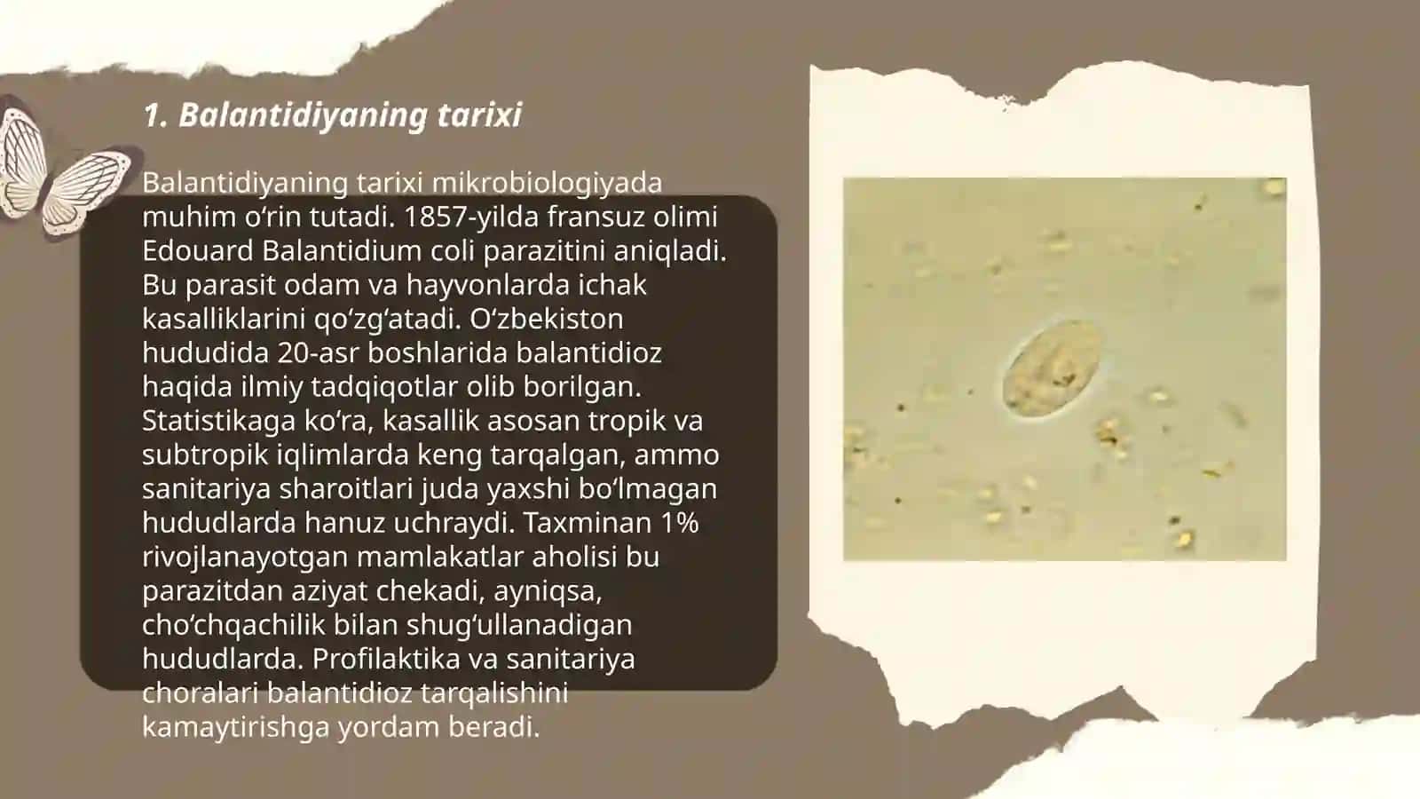Balantidioz haqida tadqiqotlar 3