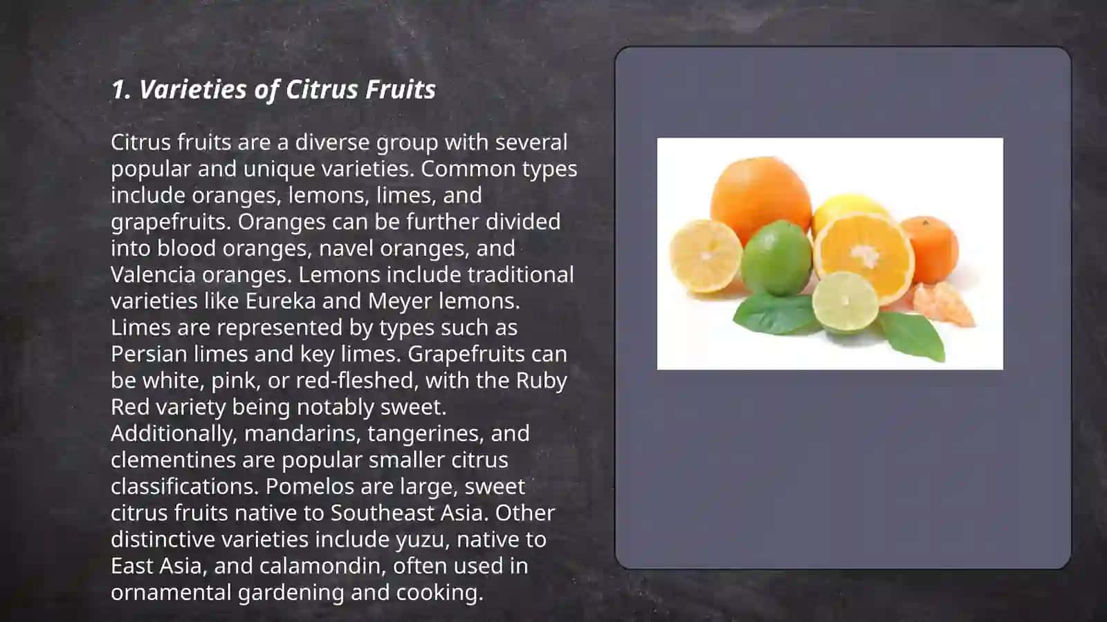 Varieties of Citrus Fruits 3