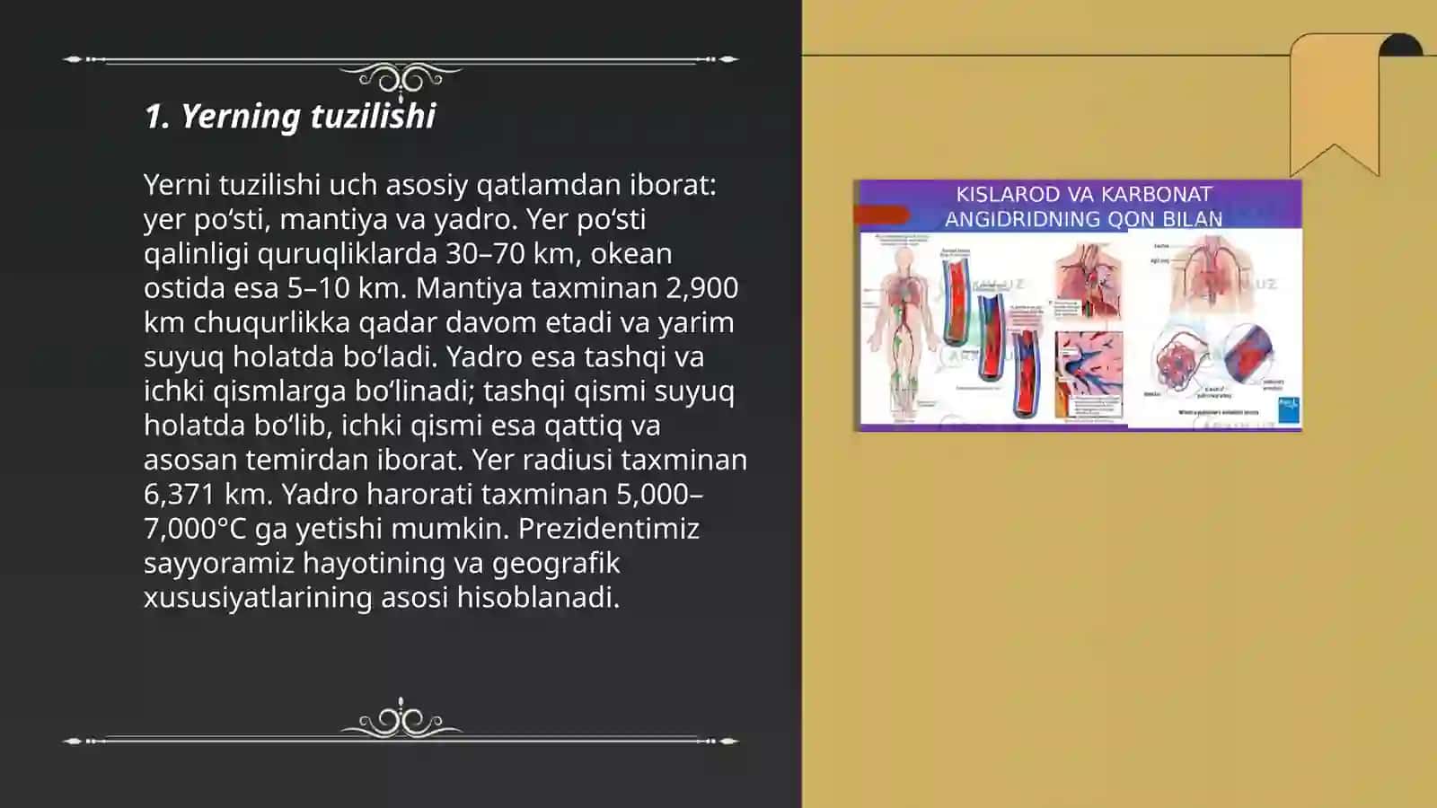 nafas a 'zolarning tuzilishi 3