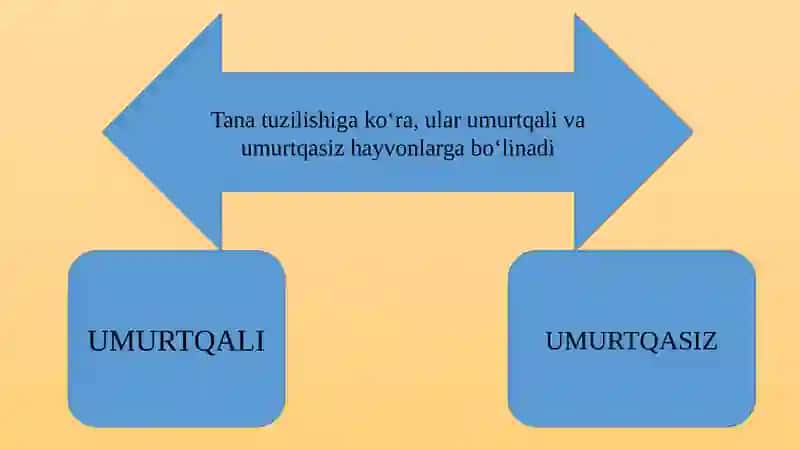HAYVONLARNING TURLARI 3