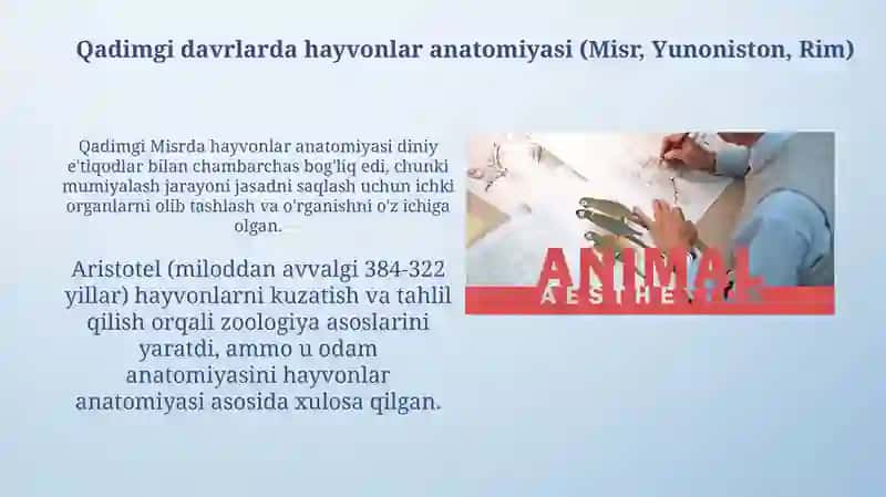Hayvonlar anatomiyasi tarixi 3