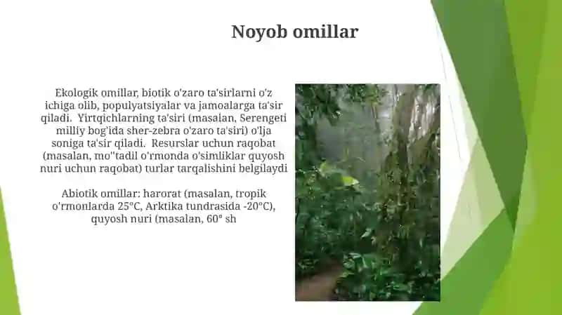 Noyob omillar 3