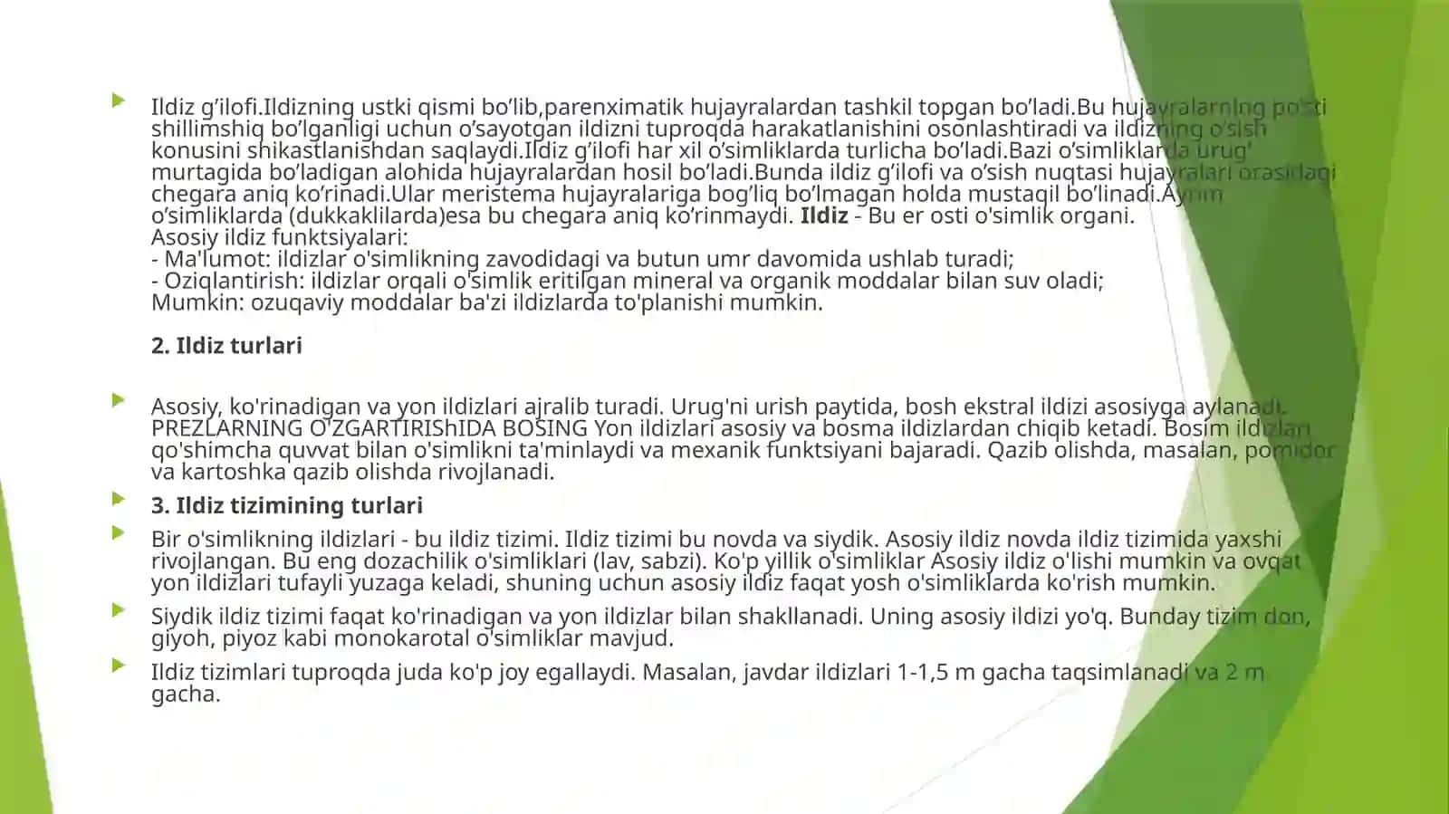Ildiz morfologiyasi 3