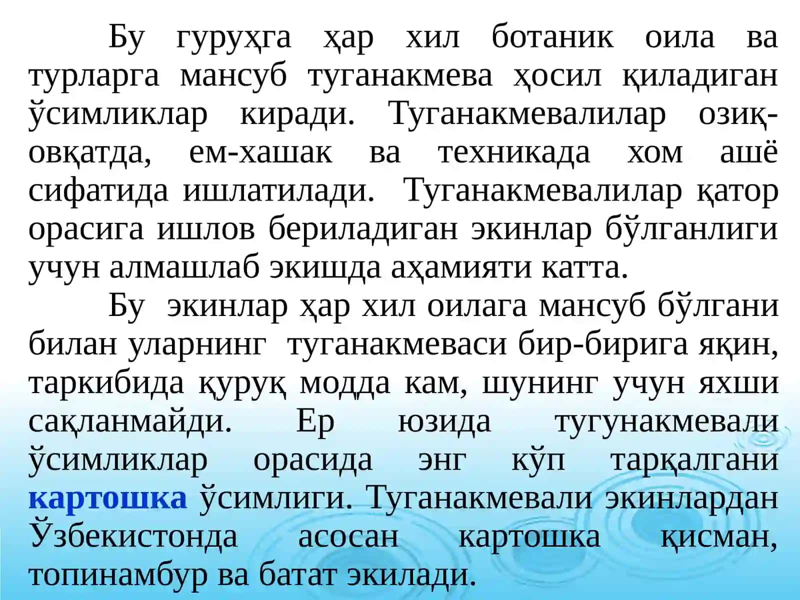 Тугунакмевали экинларнинг аҳамияти. Картошка - биологияси ва етиштириш технология 3