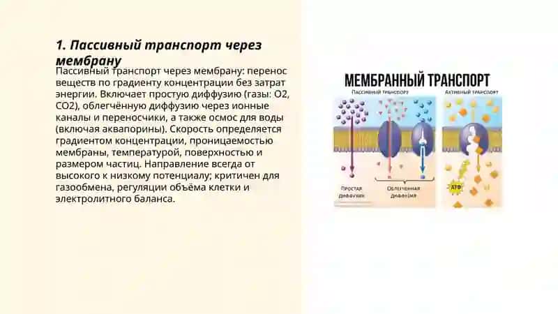 Транспорт веществ через мембрану 3