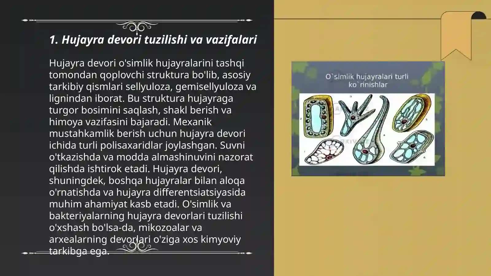 Oʻsimlik hujayrasining oʻziga xos xususiyatlari 3