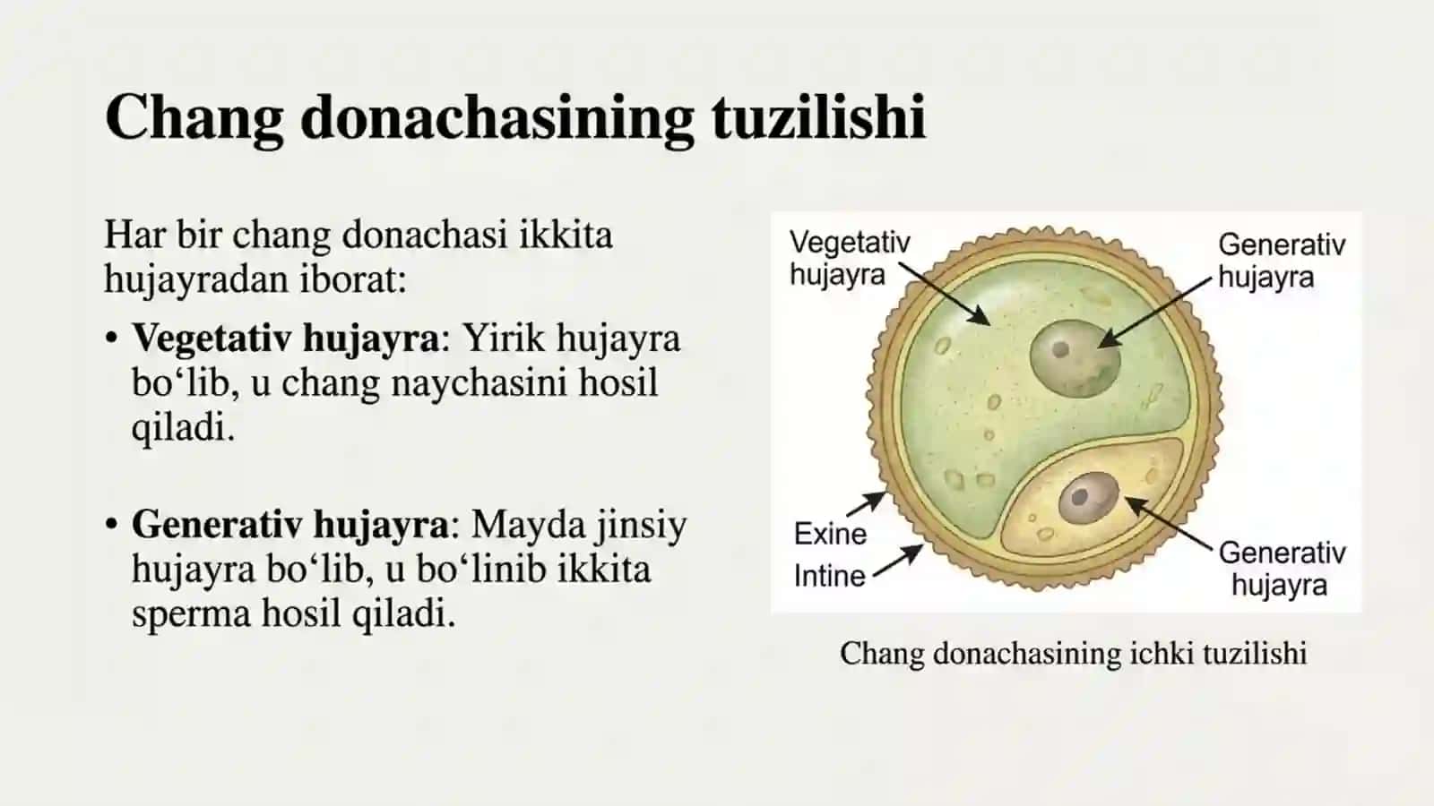 Gulli o'simliklarning ko'payishi va urug'lanishi 3