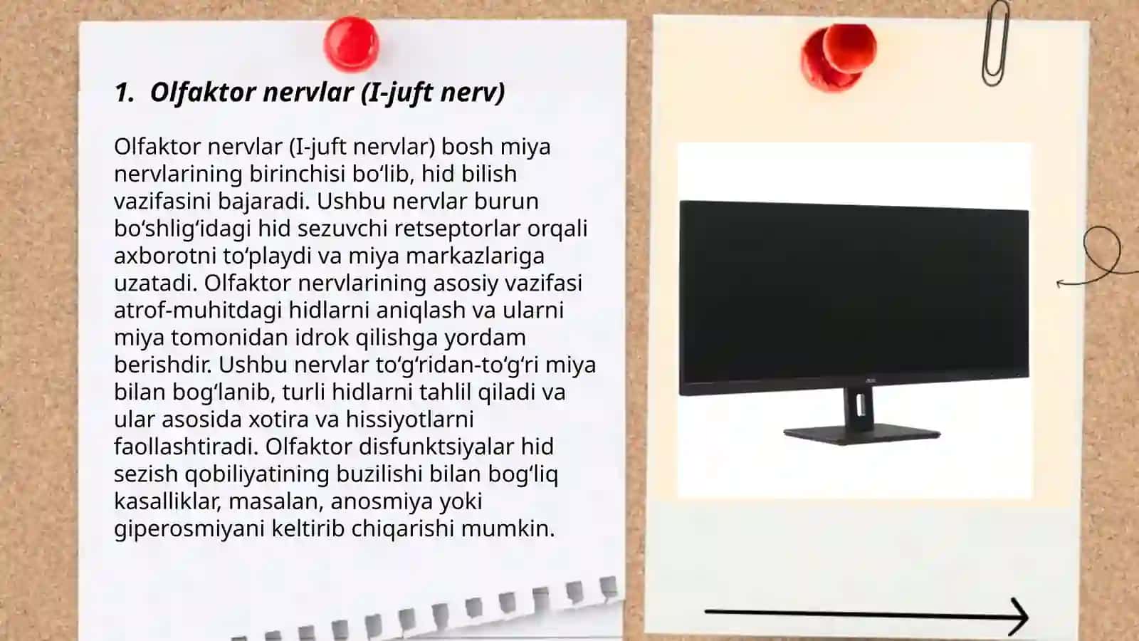 O'n ikki juft nervlar 3