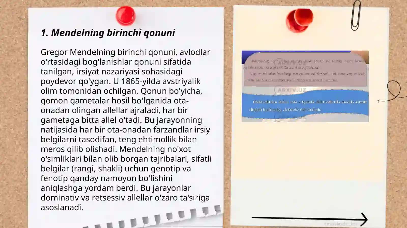 Mendelning birinchi va ikkinchi qonuni 3