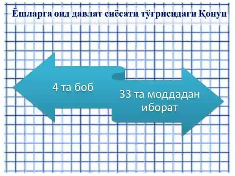 ЁШЛАРГА ОИД ДАВЛАТ СИЁСАТИ ТЎҒРИСИДА 3