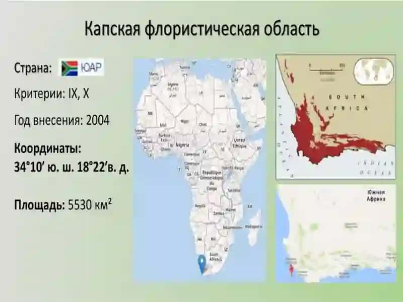 Dorivor o‘simliklarni geografik tarqalishi. 3