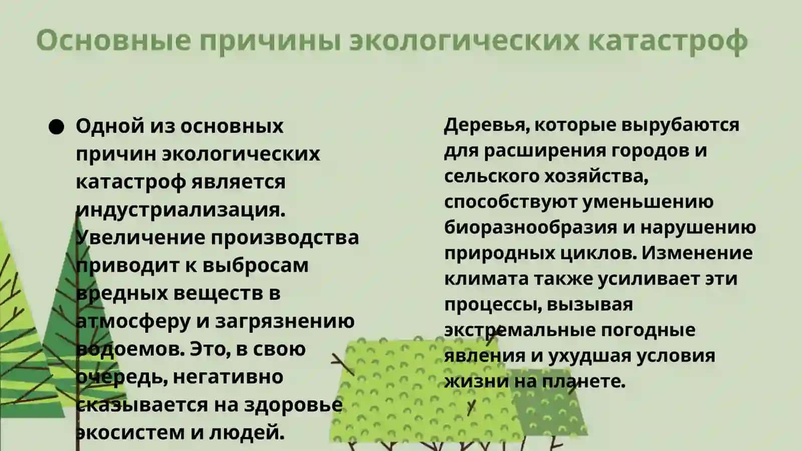 Экологические катастрофы современности 3