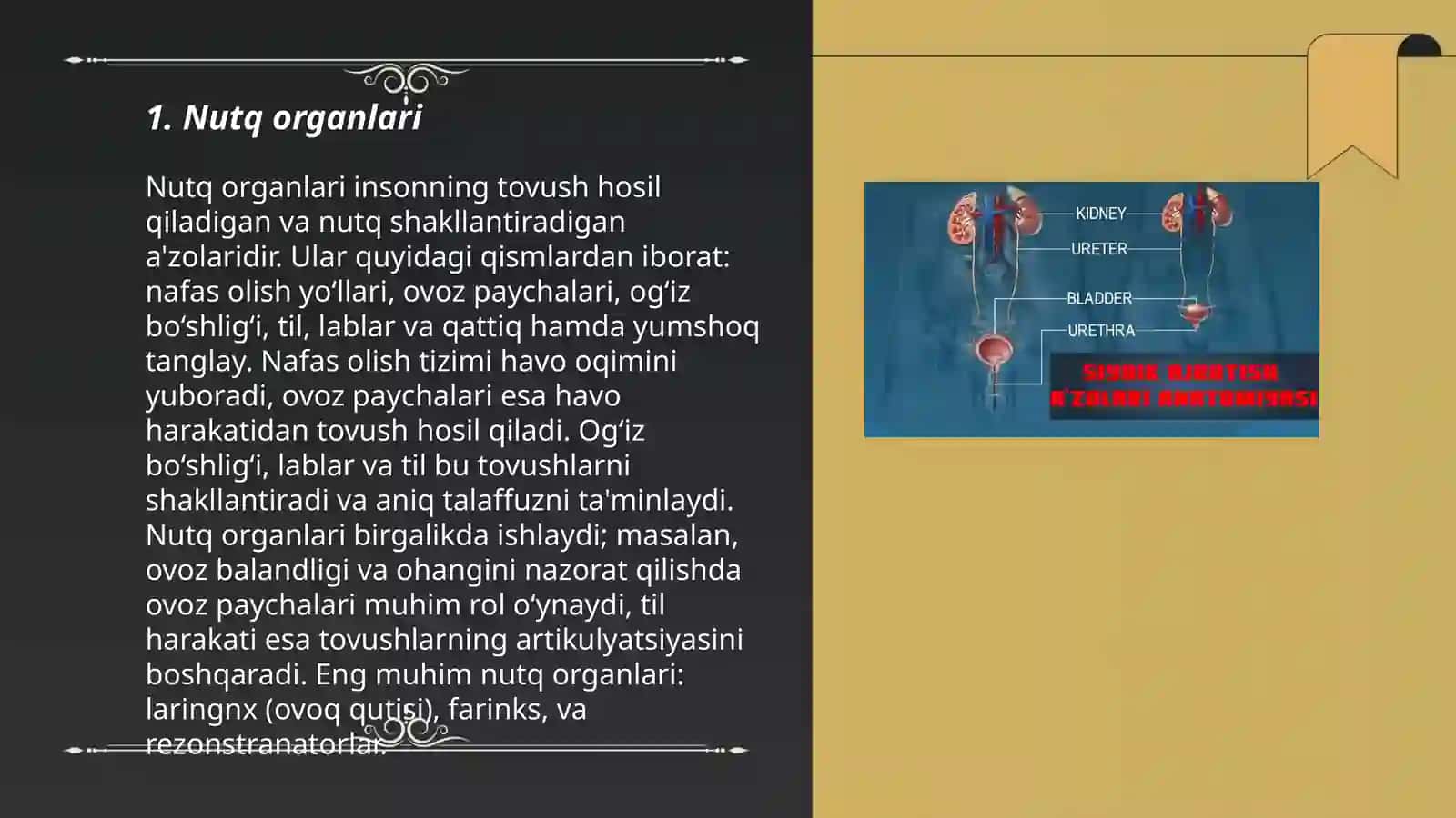 Tam bilish azolari 3
