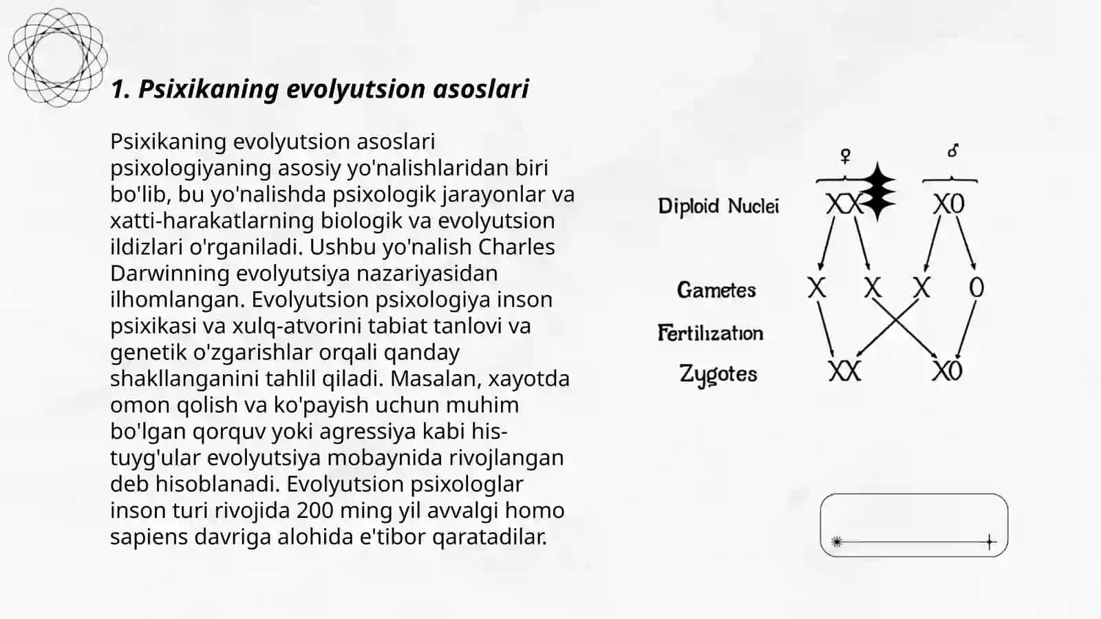 Psixikaning filogenetik tadqiqotlari 3