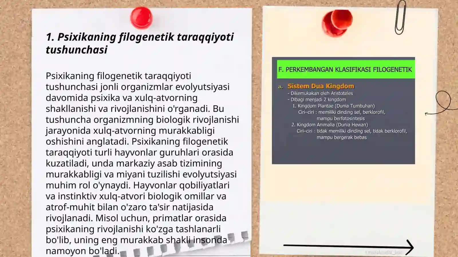Psixikaning filogenetik taraqqiyoti 3