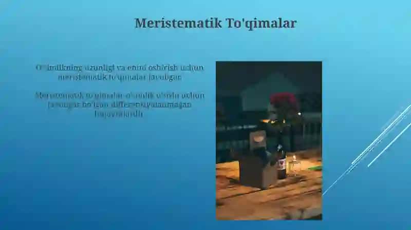 O'simlik to'qimalari 3