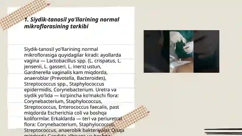 Siydik-tanosil yo'llari mikroflorasi 3