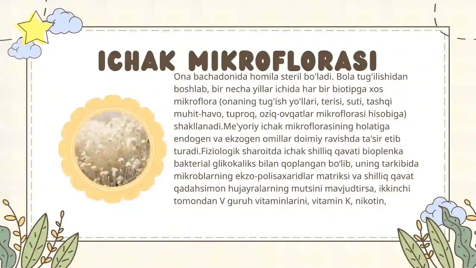 ODAM NORMAL MIKROFLORASI, TEKSHIRISH USULLARI 3