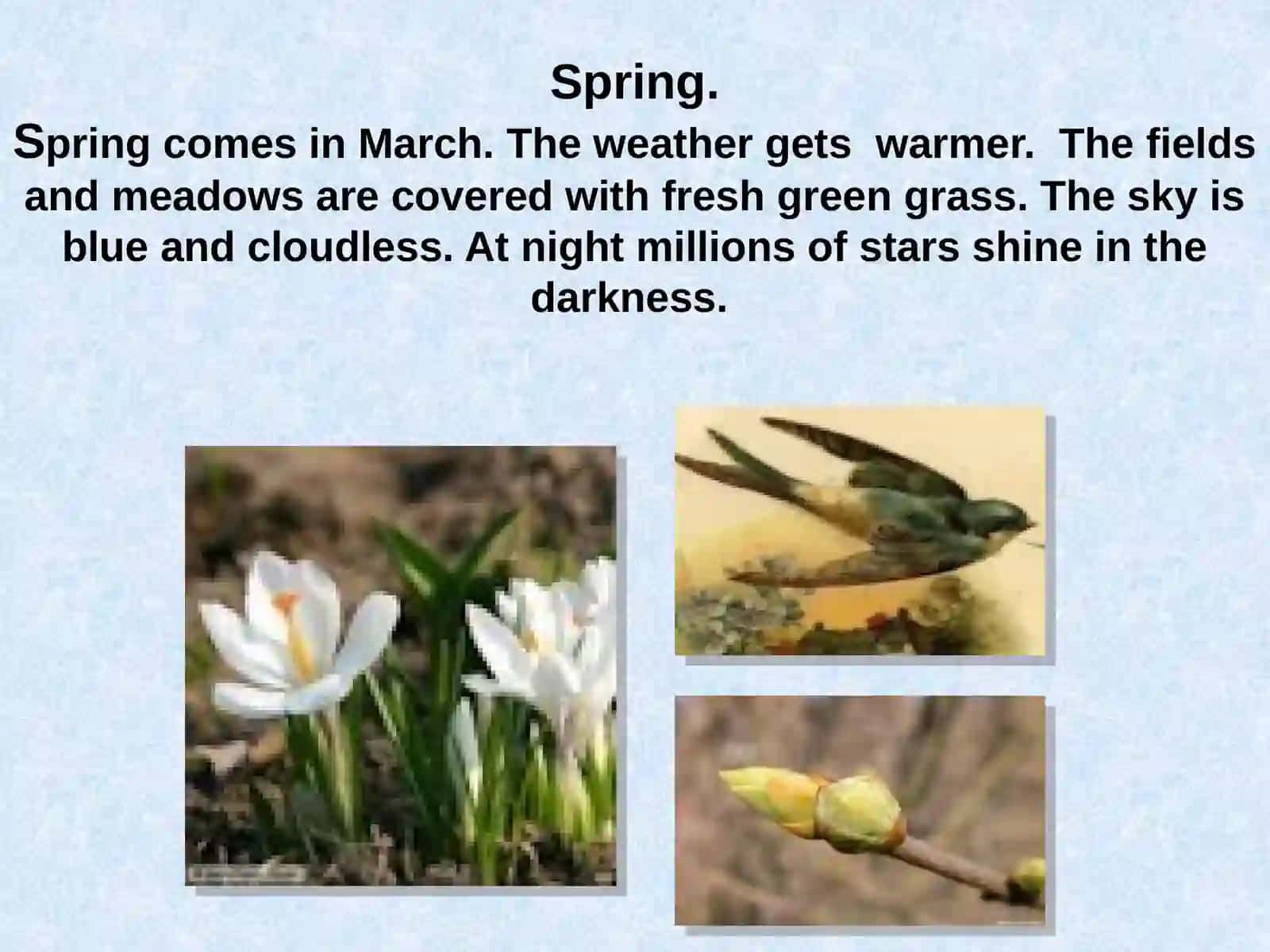 Spring, Summer, Autumn, Winter - Seasons and Weather 3