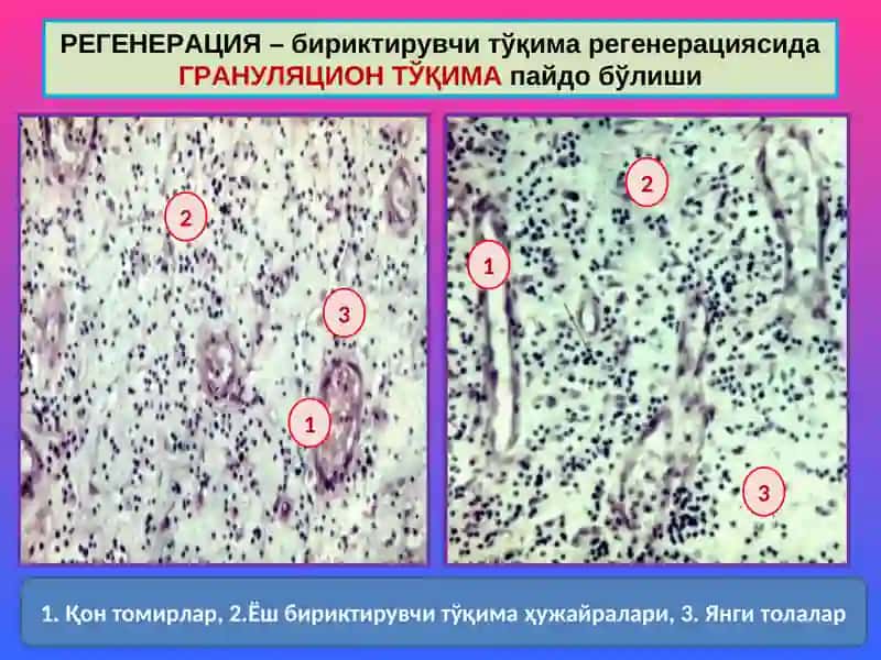 МОСЛАНИШ-ЎРИН АЛМАШИНИШ ЖАРАЁНЛАРИ 3