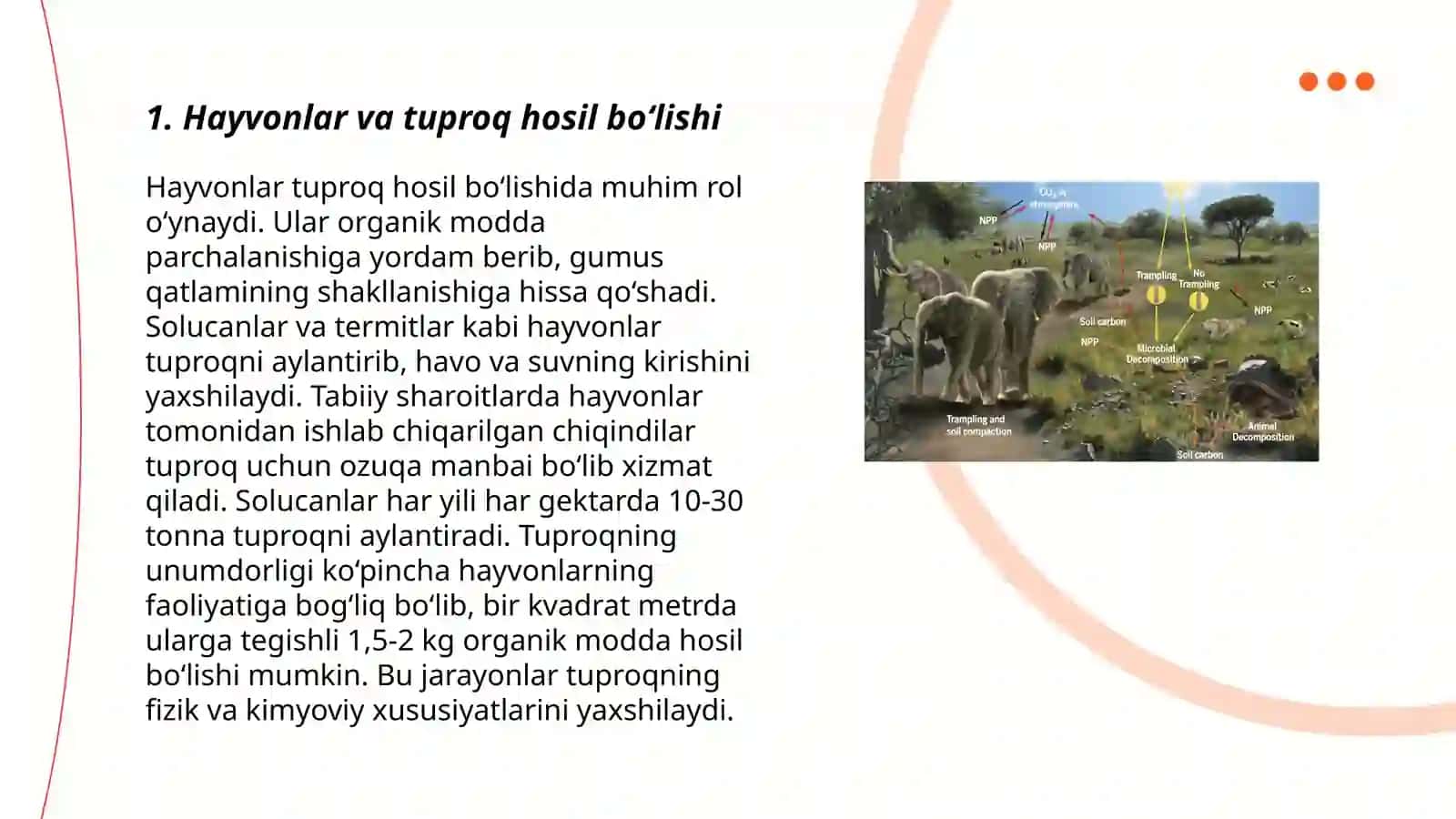 Tuproq paydo bolishida hayvonlarning roli 3