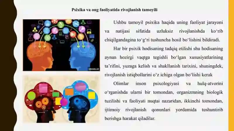 Psixika va ongning faoliyatda rivojlanish tamoyili 3