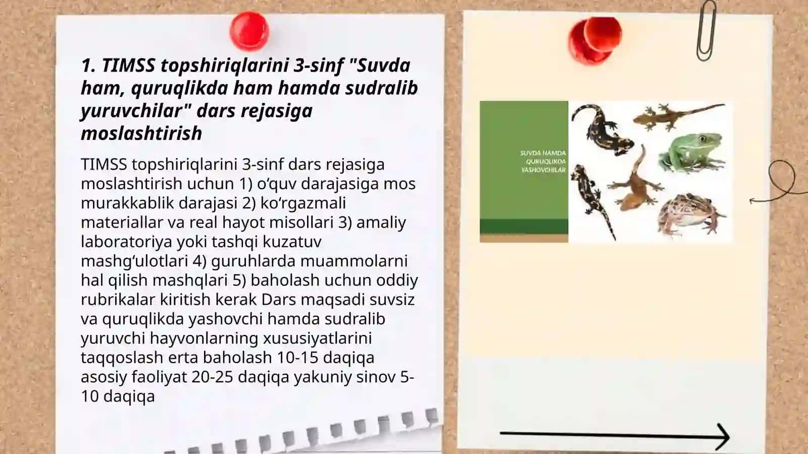 Suvda ham, quruqlikda ham hamda sudralib yuruvchilar 3
